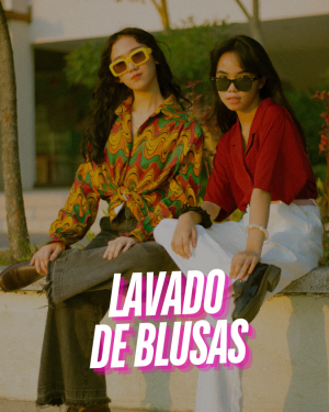 Lavandería a Domicilio