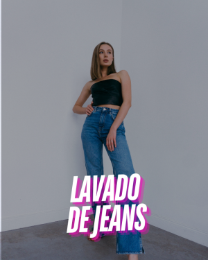 Lavander&iacute;a a Domicilio en chico