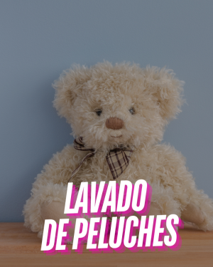 Lavandería a Domicilio