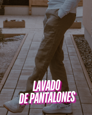 Lavander&iacute;a a Domicilio 