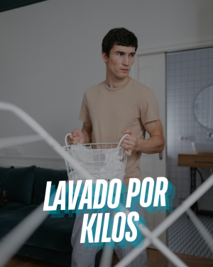 Lavander&iacute;a a Domicilio 